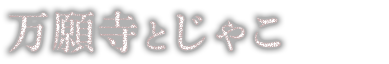 万願寺とじゃこ